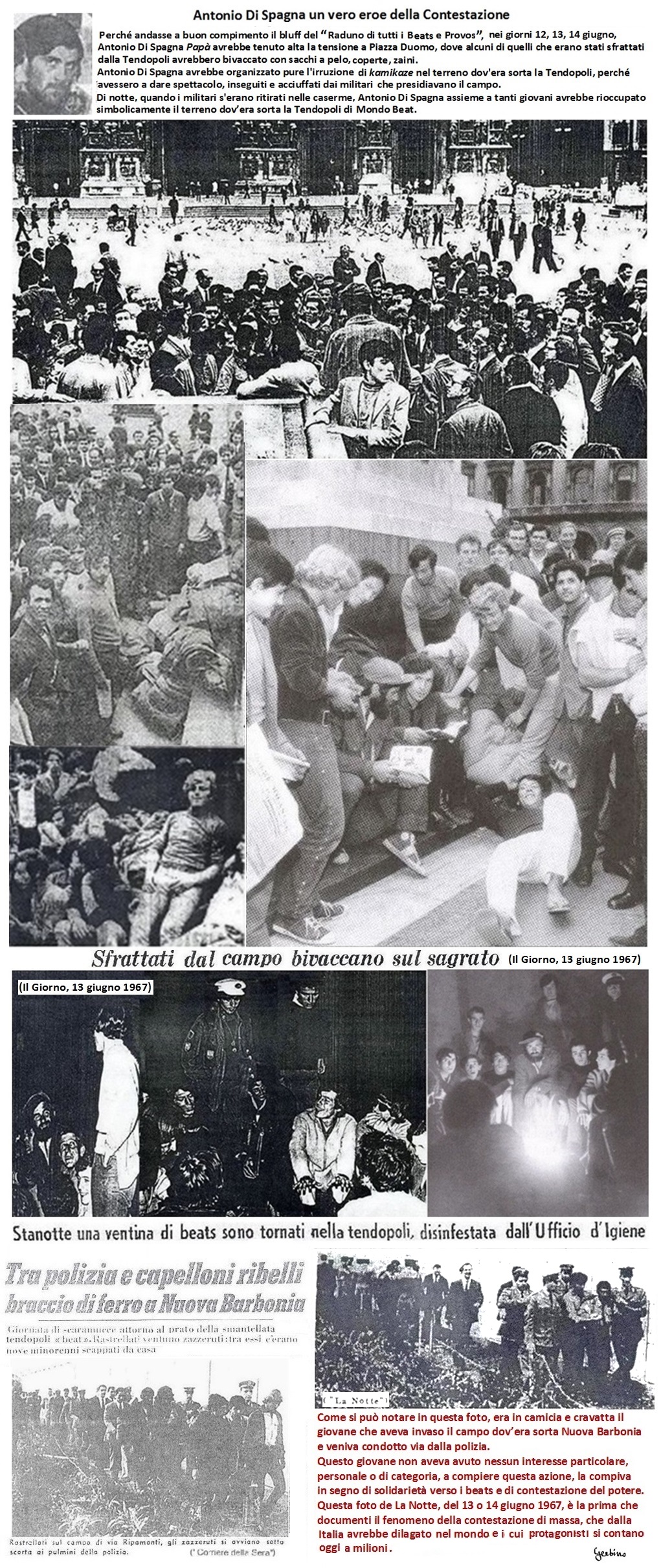 In questo collage di foto, una storica, la prima che documenti il fenomeno della contestazione di massa